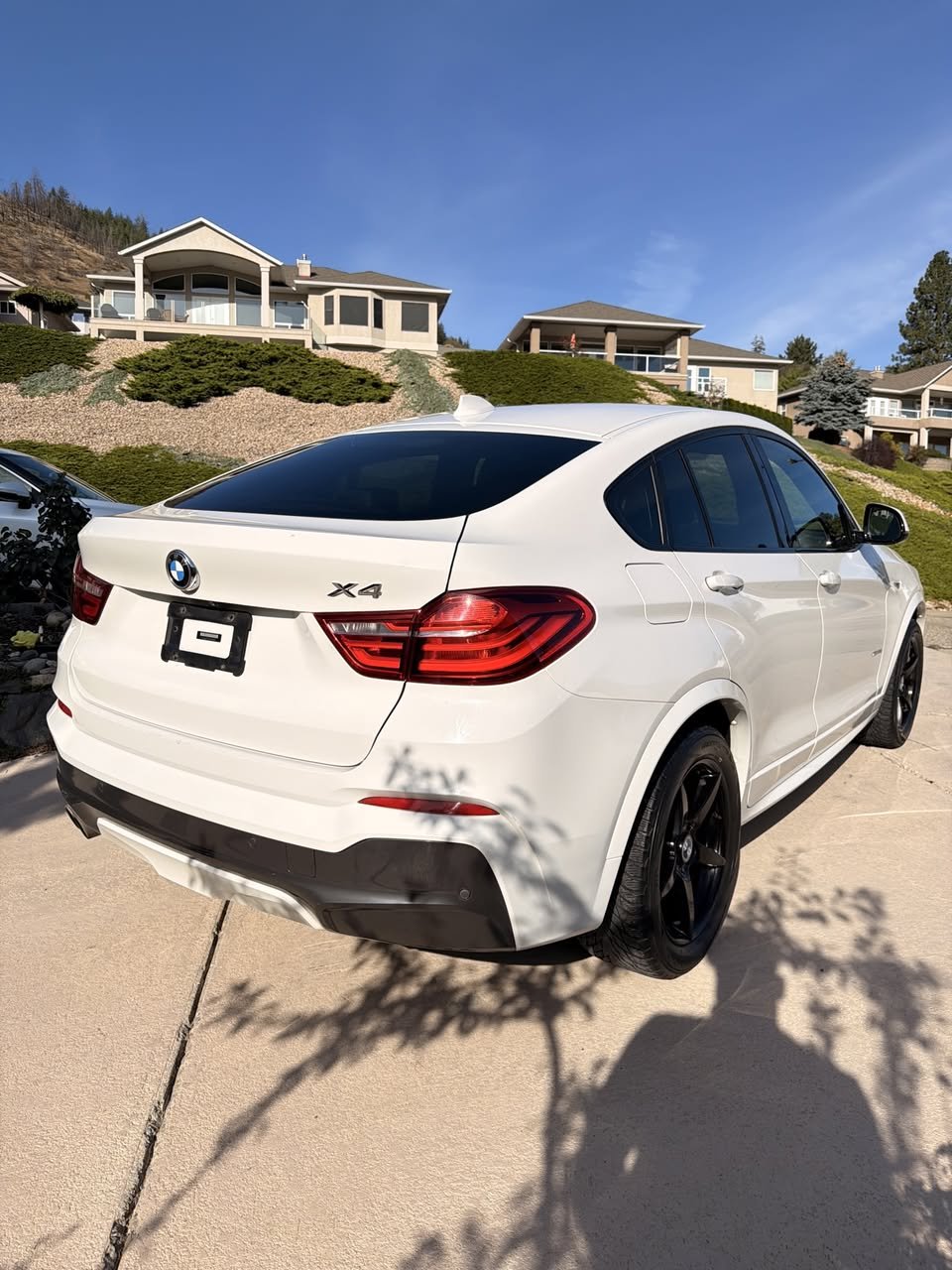 BMW exterior — The Detailing Crew