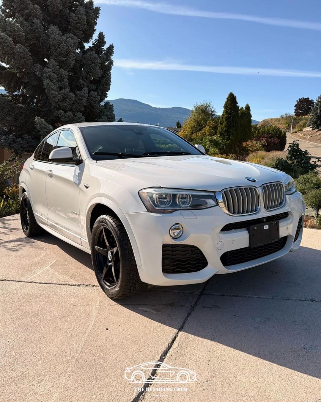 BMW exterior — The Detailing Crew